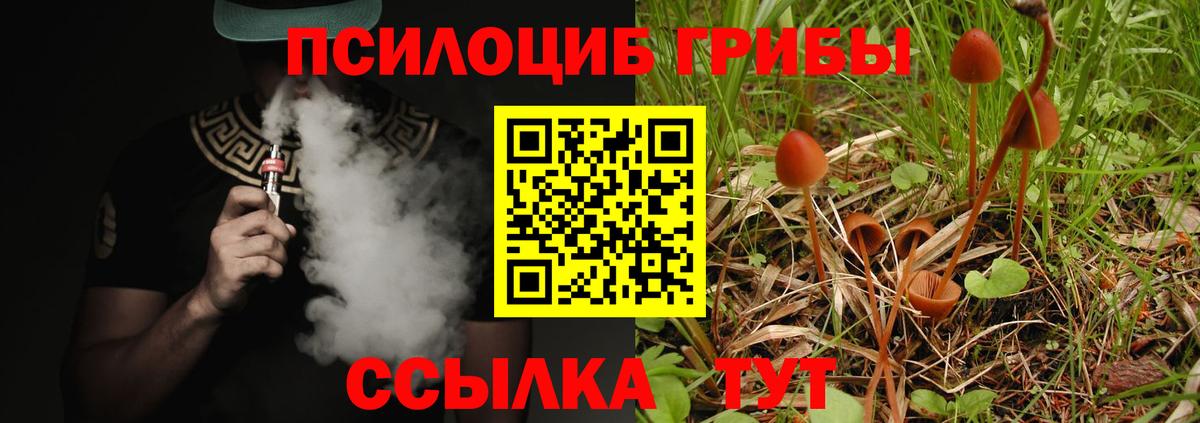 Солнечногорск  Галлюциногенные грибы Psilocybe  Вход с VPN 
