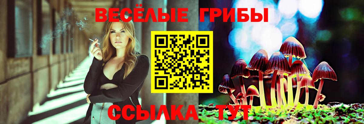 Галлюциногенные грибы мицелий Солнечногорск
